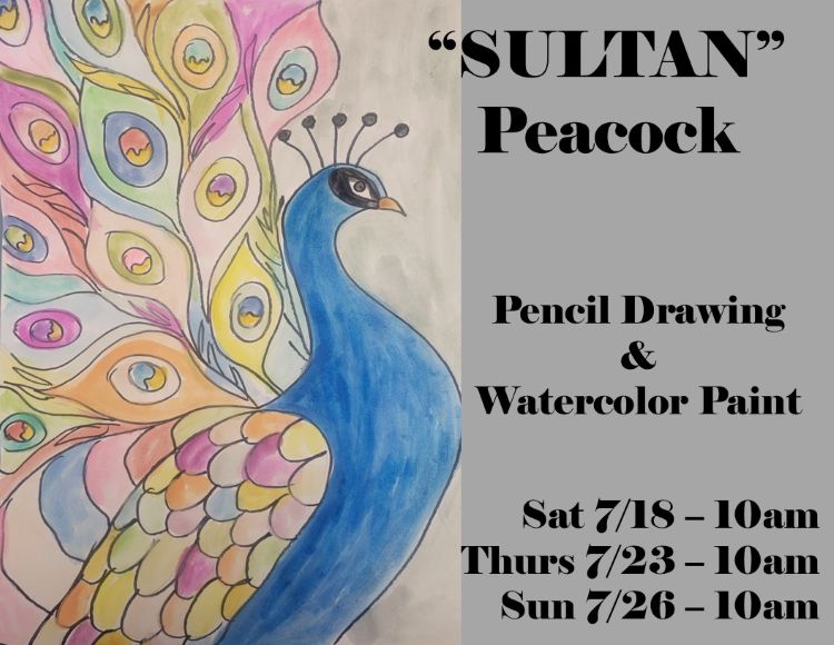 Peacock
